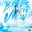 Birds Eye View