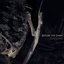 Deadsong (Single)