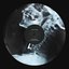 Rave Weapon / Steelyard