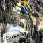 Bosom