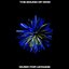 The Sound Of Now / Music For Ukraine