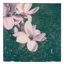 Sky - Single