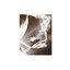 Petrichor / Innermost