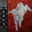 Lamb