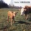 Oregon