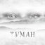 Туман