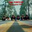The Turtles - 20 Greatest Hits