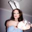 Bunny on the Run