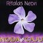 Pétalas Neon