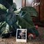 Easy - Single