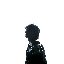 PLASTIC HEART
