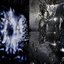 dopamine rush
