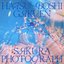 Sakura Photograph