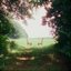 Singin’ to an Empty Chair [Explicit]