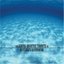Tribute To Nirvana's Nevermind