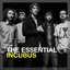 The Essential Incubus Disc 2