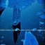 Frozen Ocean Piracy / Shipwreck (feat. Auxxk) [Explicit]