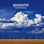 Quixotic