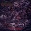 Eon of Obscenity