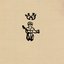 1159 / Rangini Drone