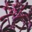 Dancing On My Own