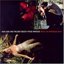 The Greatest Love Songs ...Ever 3 CD1