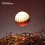 FABRICLIVE 57: Jackmaster (DJ Mix)