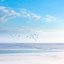 The Calm