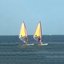 The Wind Surfer