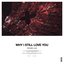Why I Still Love You - Single