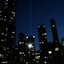 New York Nights