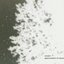 Approximation of Nature