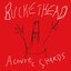 Acoustic Shards