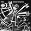 Celestial Navigations