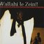 Wallahi Le Zein!! Wezin, Jakwar And Guitar Boogie From The Islamic Republic Of Mauritania
