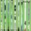 Evergreen Noise Is Flexible/The Spirit Of Kenny G