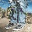 Where Did You Learn How To Fly?