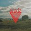 Acacia