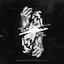 Beyond Illusion & Deceit Vol.3