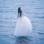 Adieu - Single