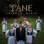 TANE