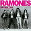Anthology: Hey Ho, Let's Go! (disc 1)