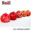 Noël (Les indispensables)