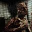 Skinned and Refleshed