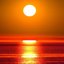 Orange Sun. Orange Album