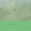 Marginalia #167 - Single