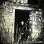 Carpathian Nights