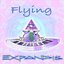 Flying
