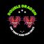 Double Dragon