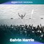 This Is What You Came For (Calvin Harris VIP Mix - Amazon Music Original)